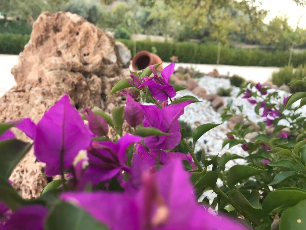 Alojamiento Rural Casa Fuente Del Prado La Iruela Buitenkant foto