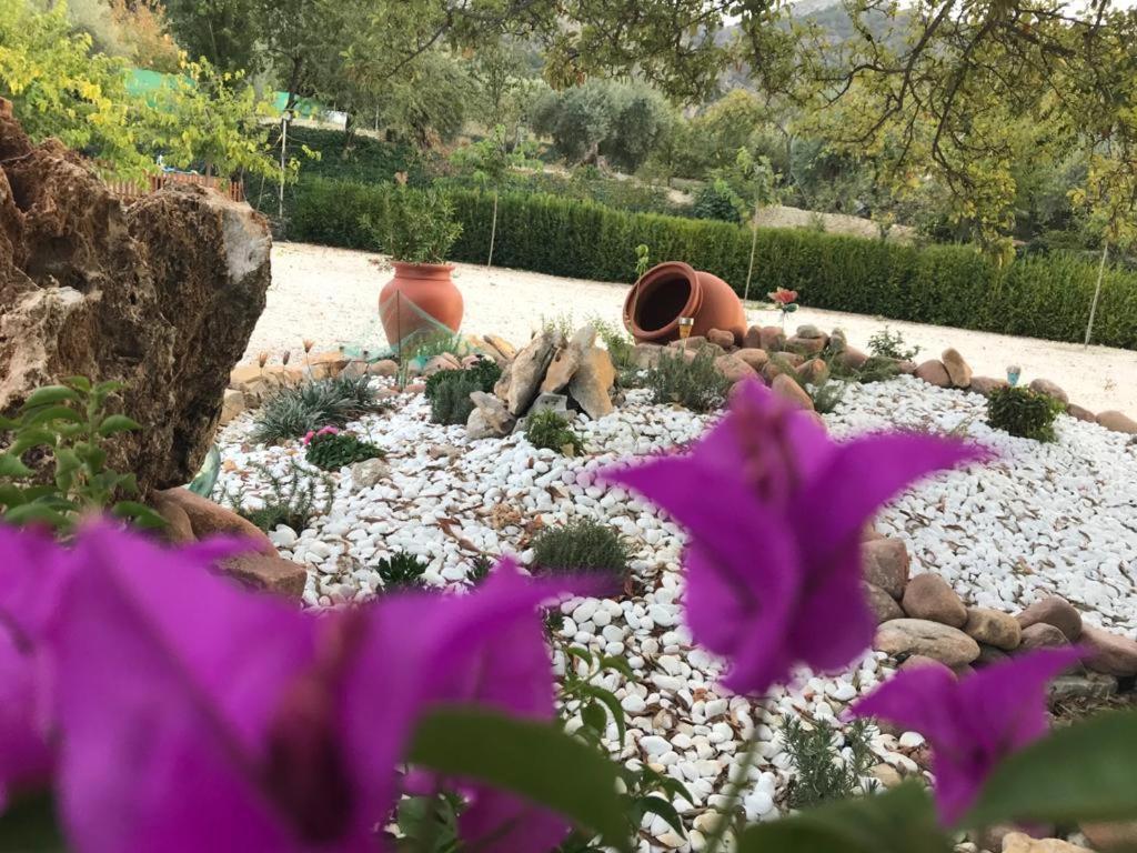 Alojamiento Rural Casa Fuente Del Prado La Iruela Buitenkant foto